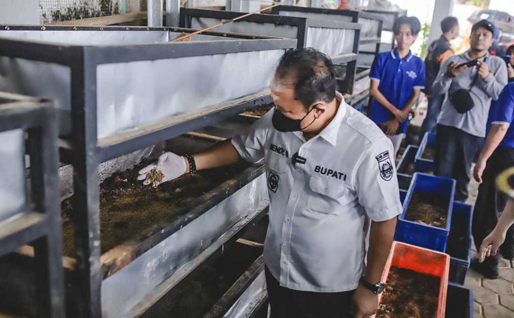 Bupati Jember Kunjungi Pabrik Maggot Milik Poktan Desa&nbsp;Sukamakmur